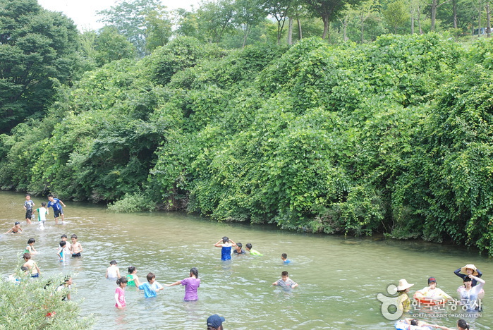 Jangnyeongsan Natural Forest (장령산자연휴양림)