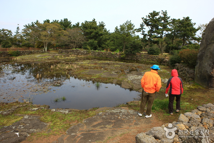 혼인지축제 20191