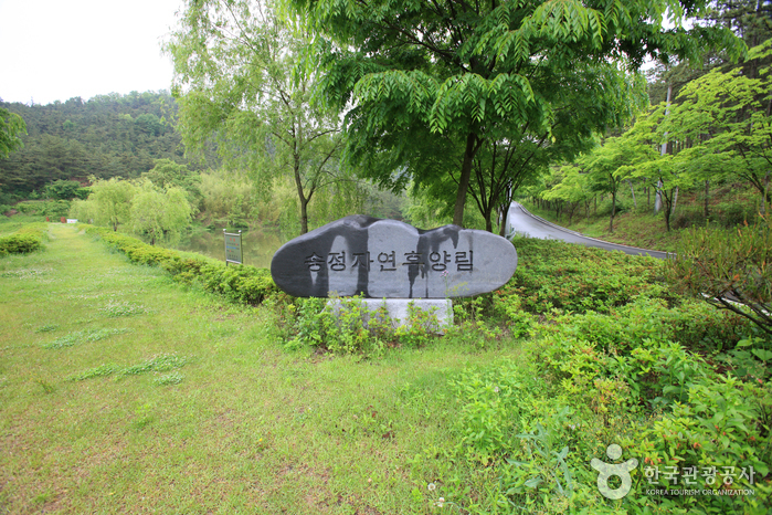 Songjeong Natural Re...