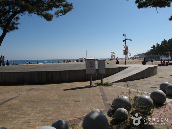 속초해변 사진6