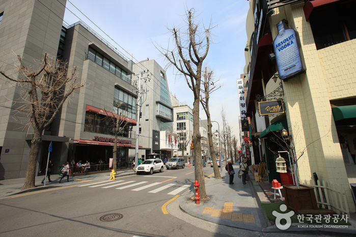 Sinsadong Garosu-gil Road (신사동 가로수길)