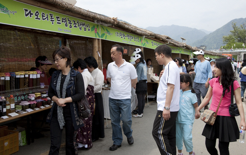 Hadong Wild Tea Cultural Festival (하동 야생차문화축제)