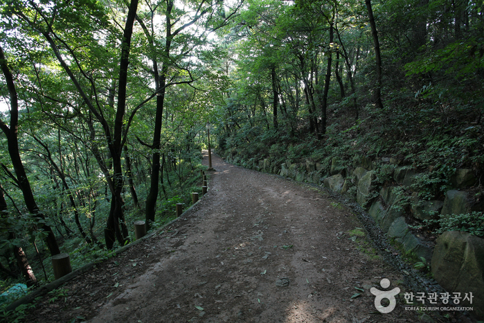 Amnam-Park (부산 암남공원)