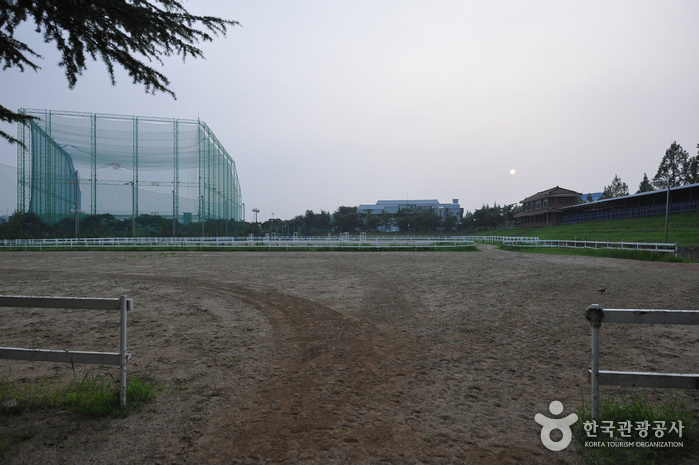 Estadio Mudeung de Gwangju (광주무등경기장)3