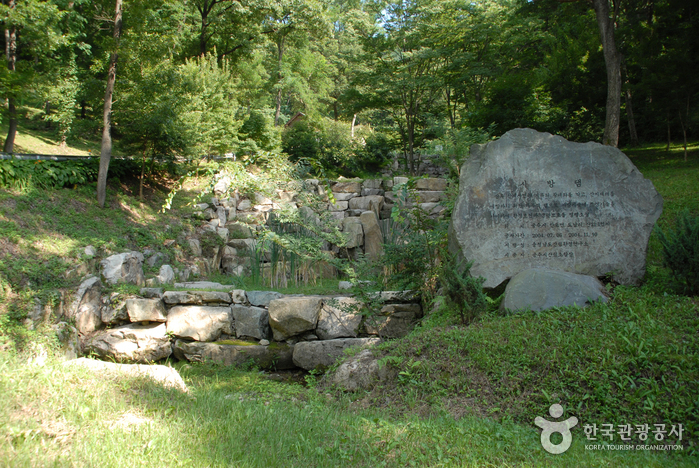 錦江自然休養林（錦江樹木園、山林博物館）（금강자연휴양림（금강수목원,산림박물관））