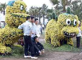Jeju Canola Flower Festival (제주 유채꽃잔치)