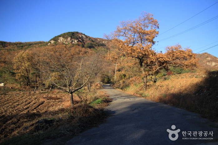 [Wanderweg Ganghwa Nadeul-gil Route 5] Weg Gobigogae-gil ([강화 나들길 제5코스] 고비고개길)