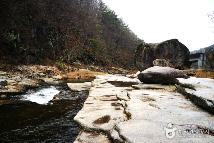단양 팔경 사진5