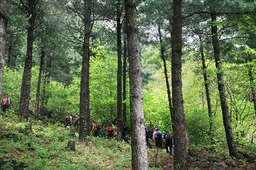 축령산자연휴양림