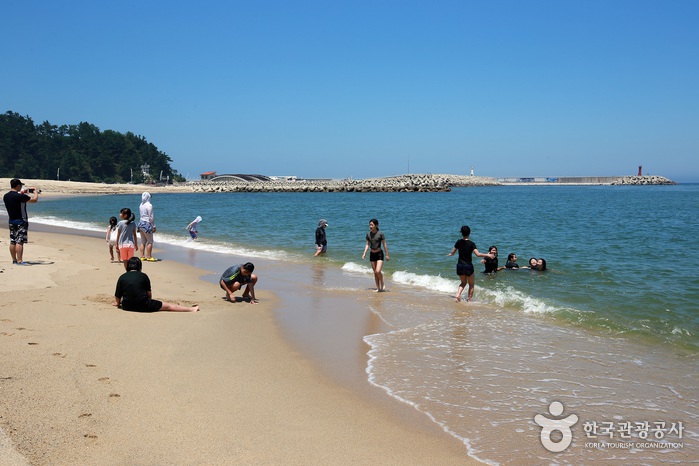 투명하고 한가로운 남항진해변-모래밭