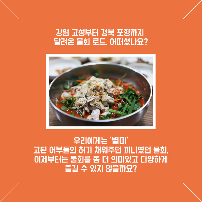 강원 고성부터 경북 포항까지 달려온 물회 로드, 어떠셨나요? 우리에게는 '별미'고된 어부들의 허기 채워주던 끼니였던 물회, 이제부터는 물회를 좀 더 의미있고 다양하게 즐길 수 있지 않을까요? 