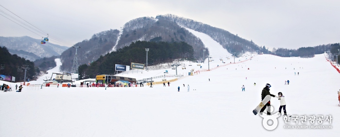 스키장전경