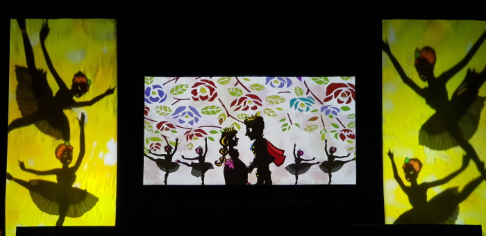 °æ±âÀÎÇü±ØÁ¦ in Suwon 2018