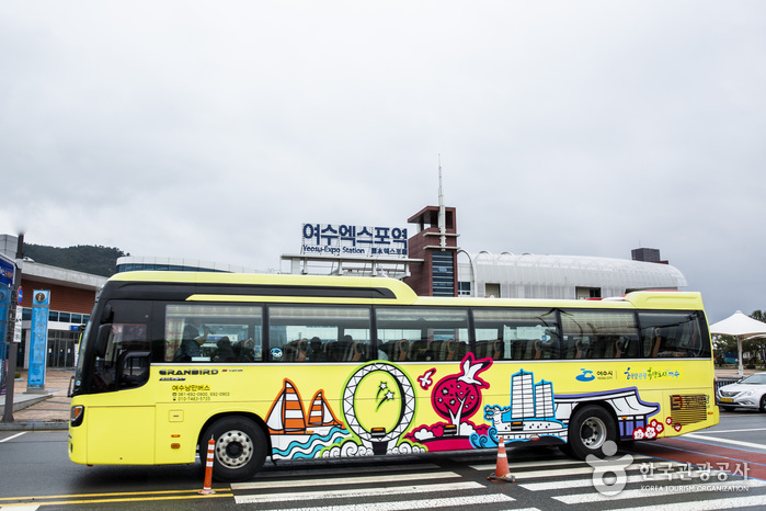 여수 낭만버스 일반버스