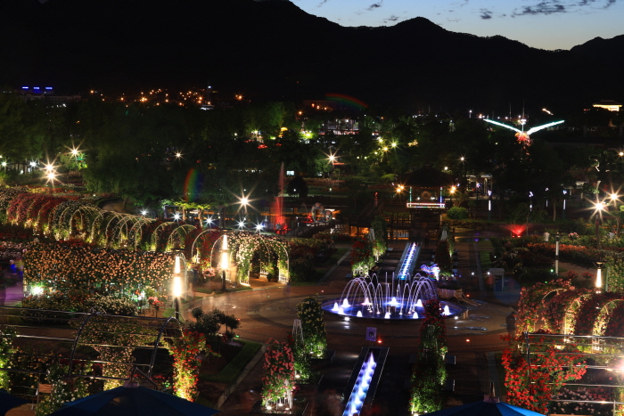 Gokseong International Rose Festival (ê³¡ì± ì¸ê³ì¥ë¯¸ì¶ì )
