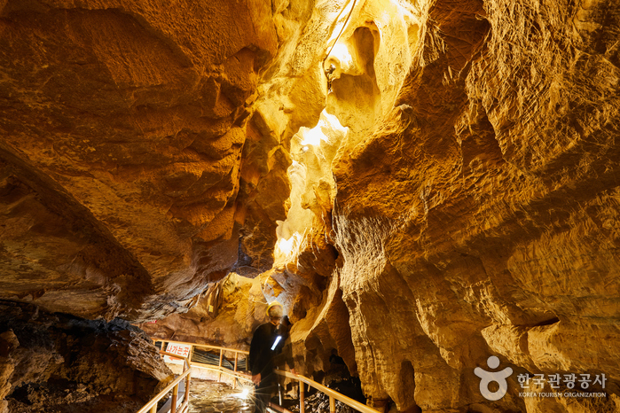 오대산 자연명상마을5