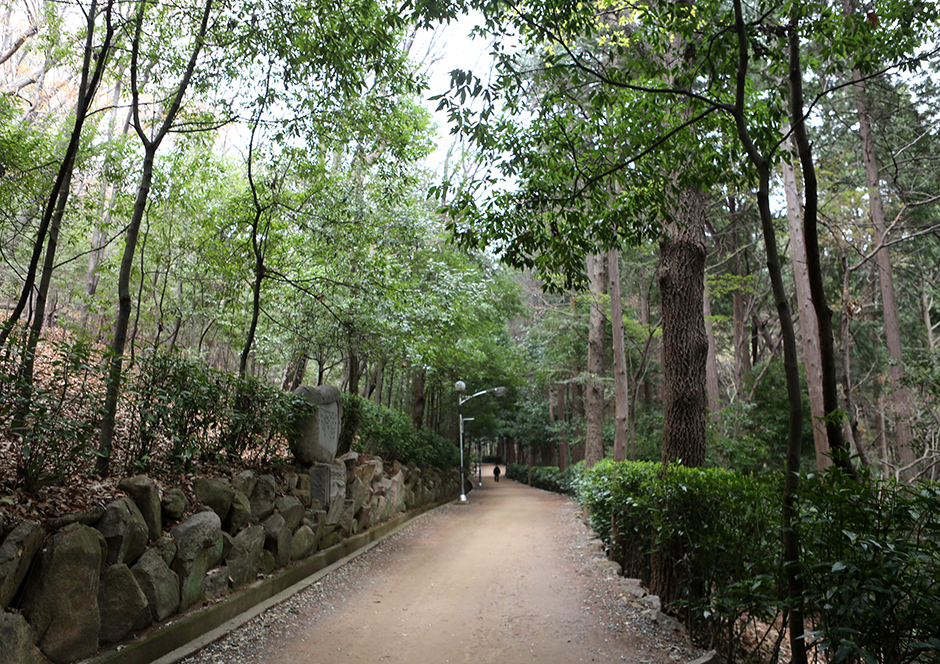 부산 중앙공원