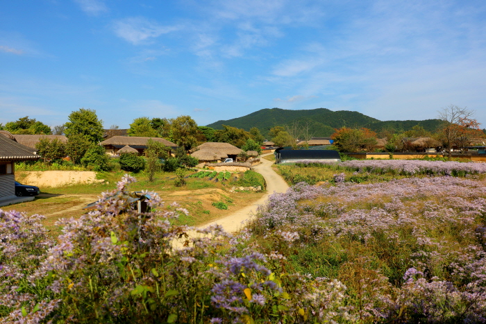 600年続いてきた伝統村