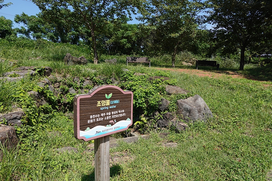 대왕수천예래생태공원