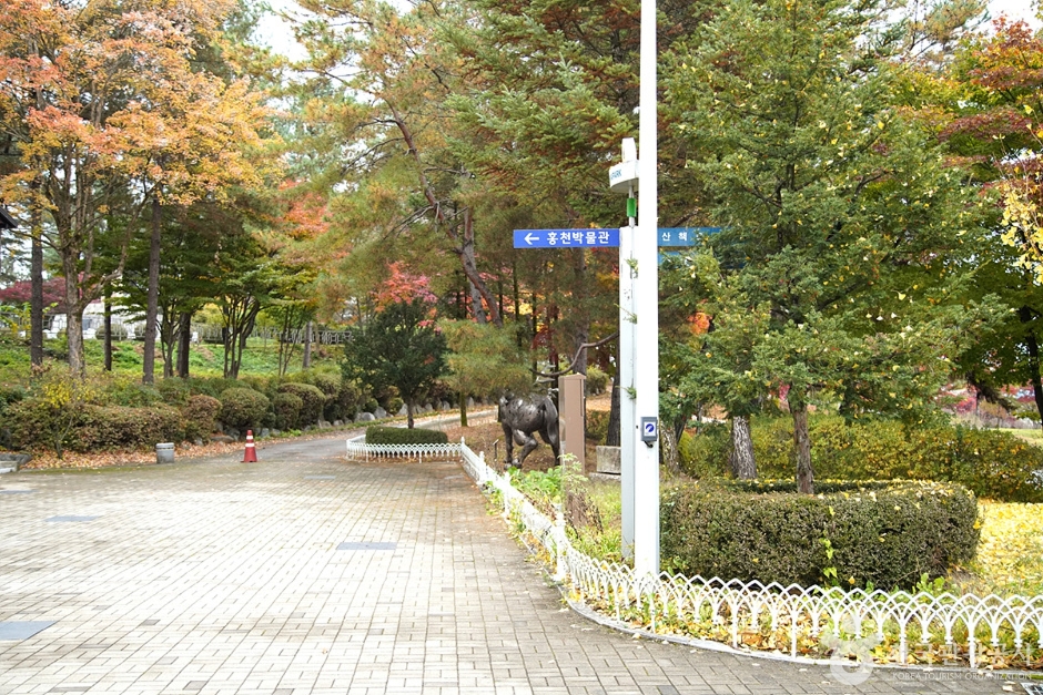 홍천 무궁화공원