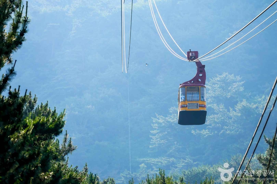 금강공원