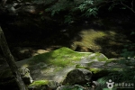 동학사계곡 (5)