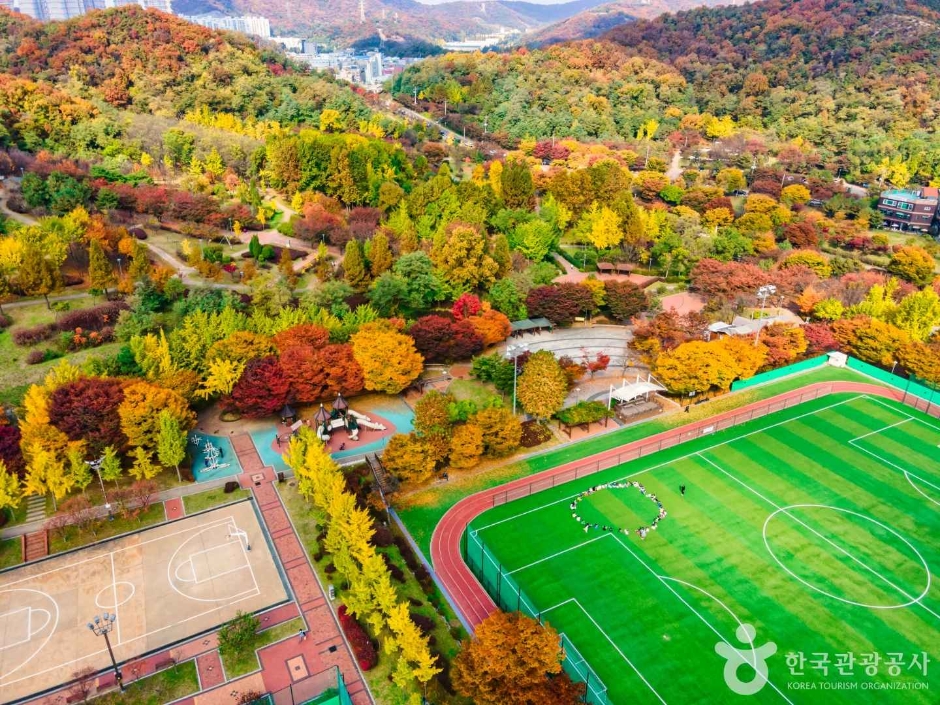 인천_원적산공원 은행나무숲 (23)