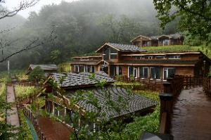 강릉_국립대관령치유의숲 (9)