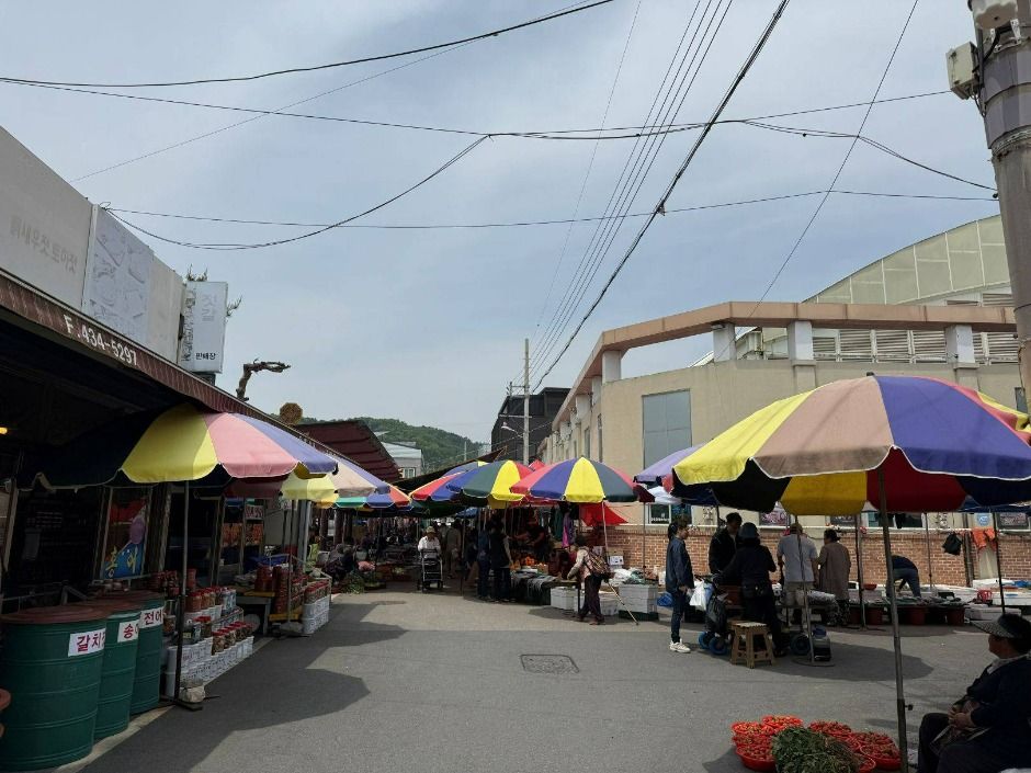 강진오감통시장 (7)