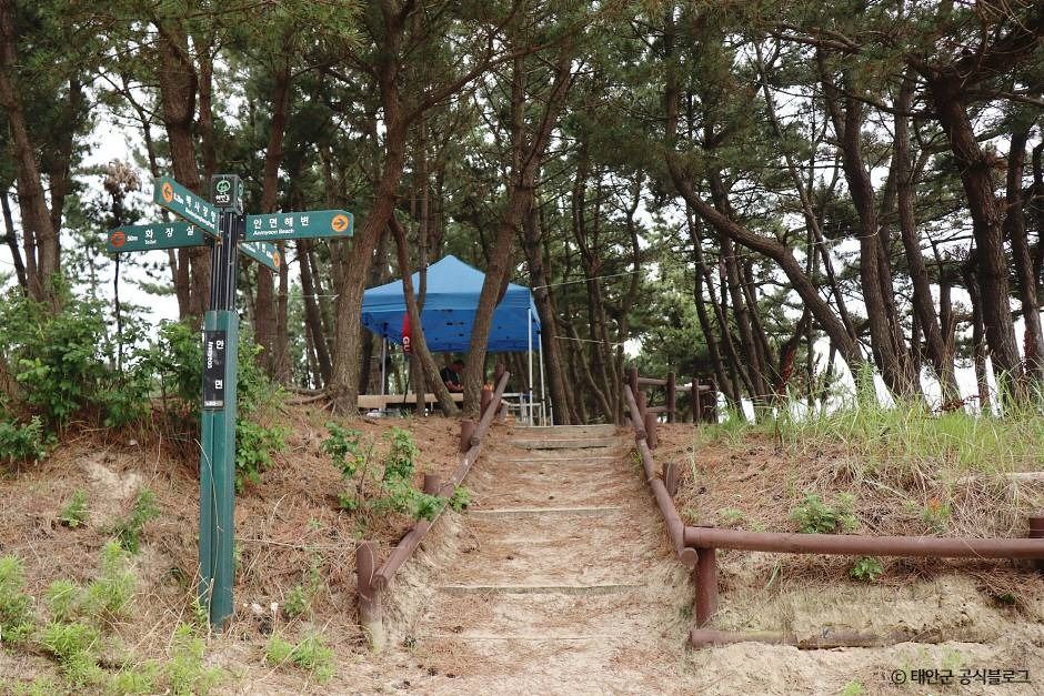 안면해수욕장