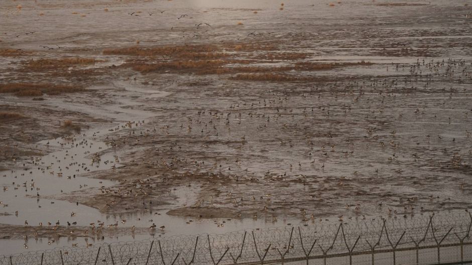 파주_파주 DMZ 생태연구소 (10)