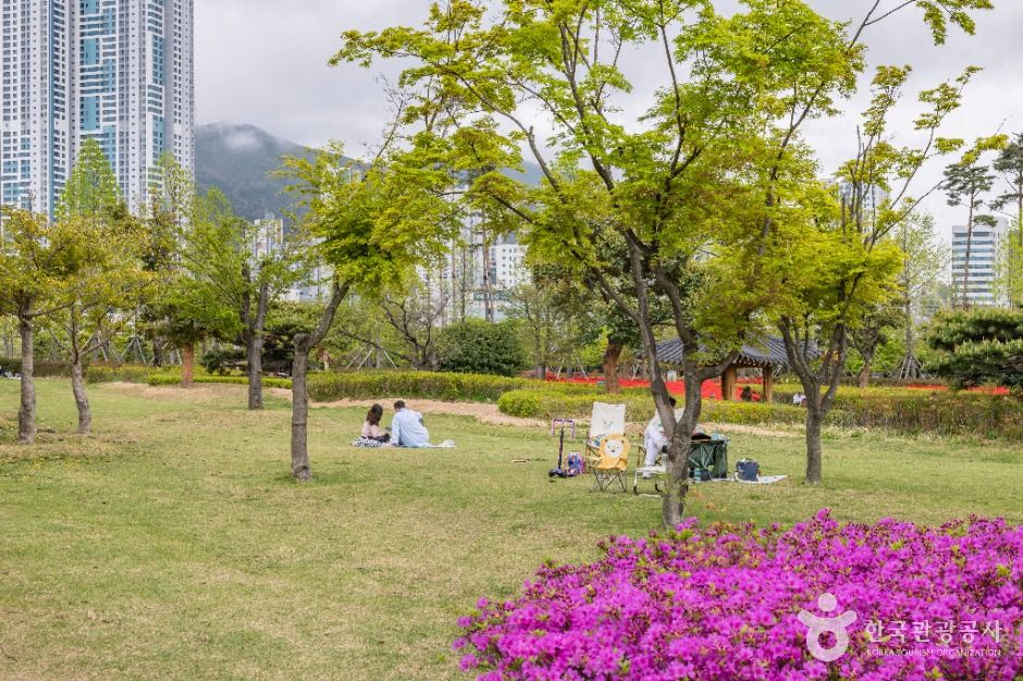 부산시민공원
