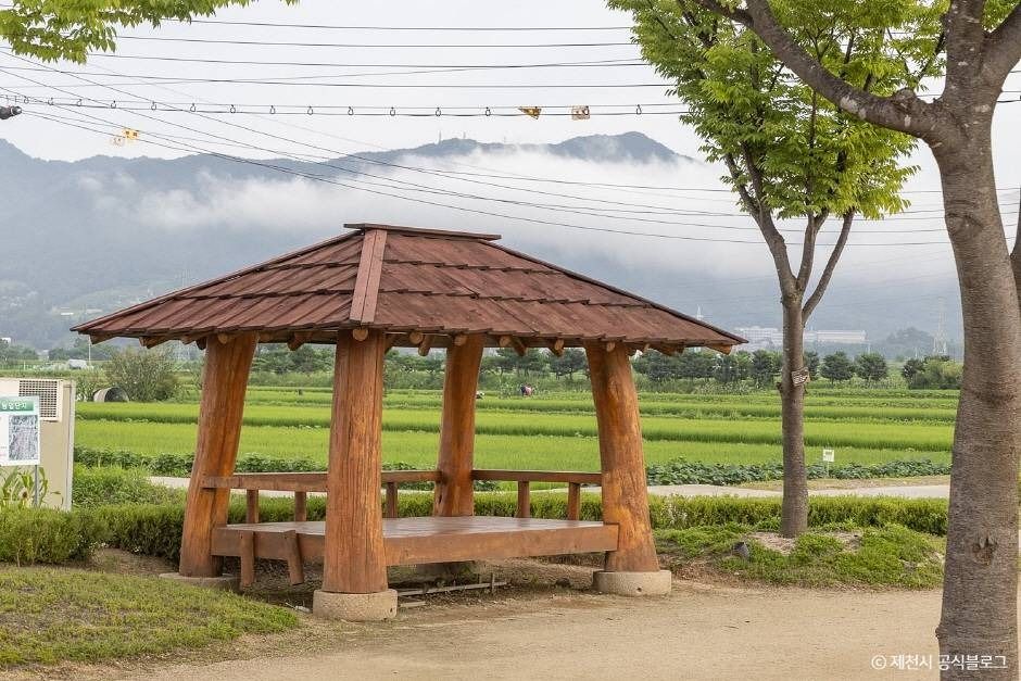 제천_삼한의 초록길 (5)