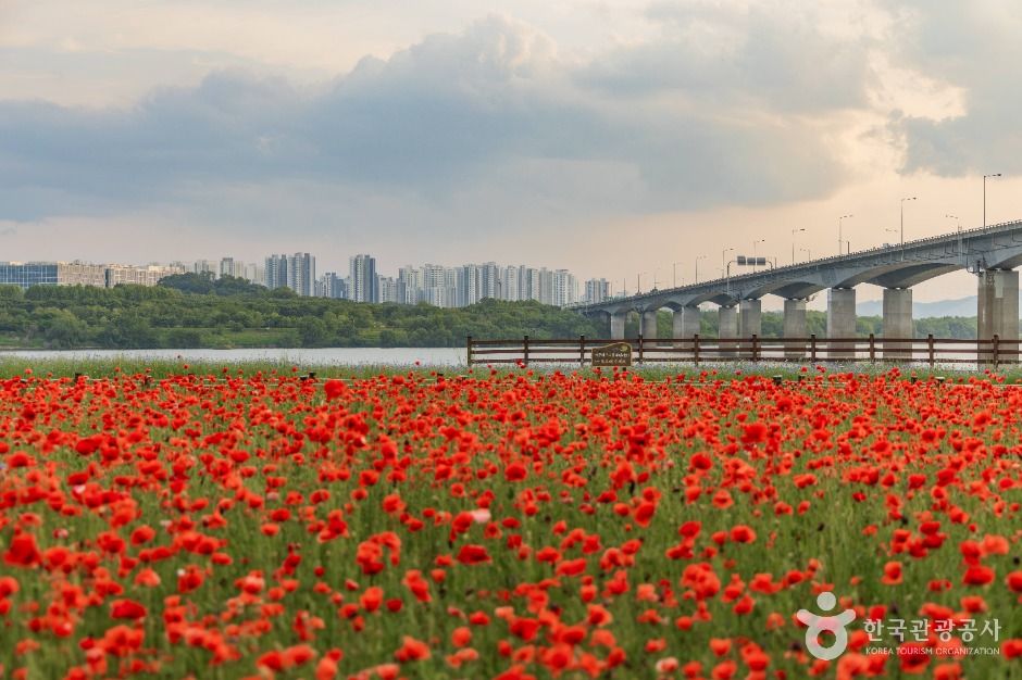 남양주한강공원(삼패지구)