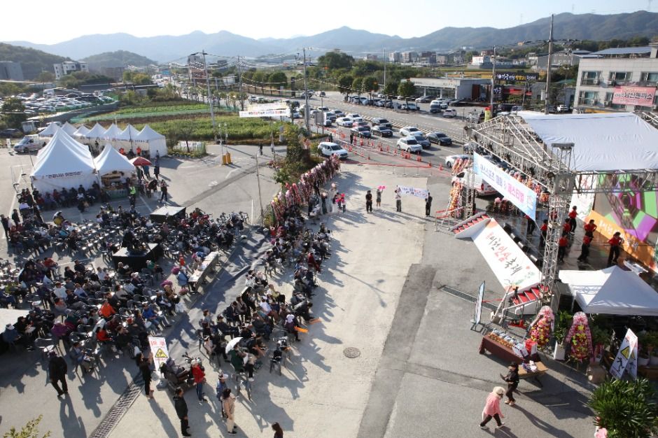 Festival del Ginseng y la Salud de Icheon (이천인삼건강축제)
