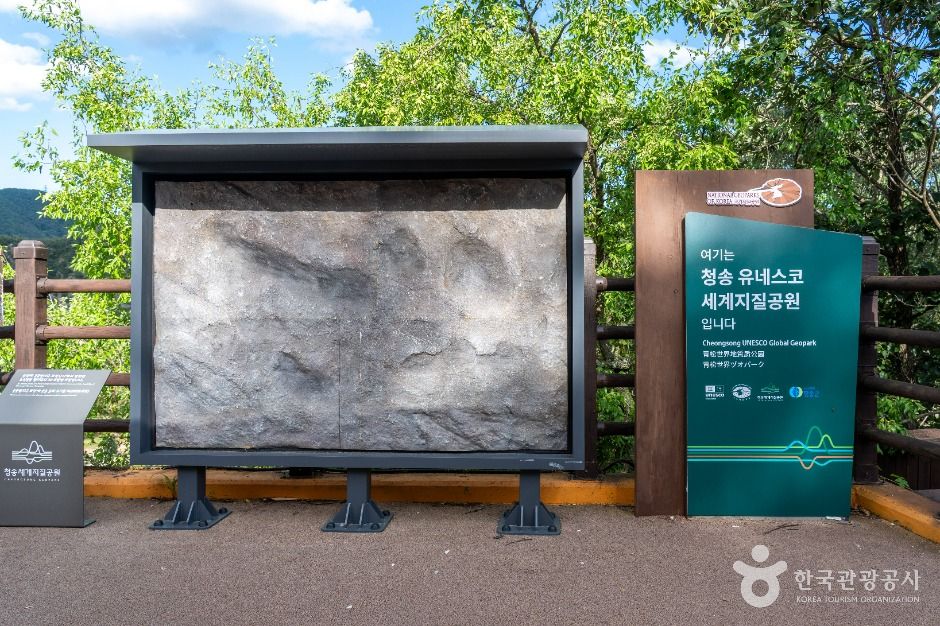신성리 공룡발자국