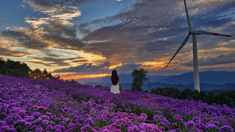 감악산 꽃별 여행
