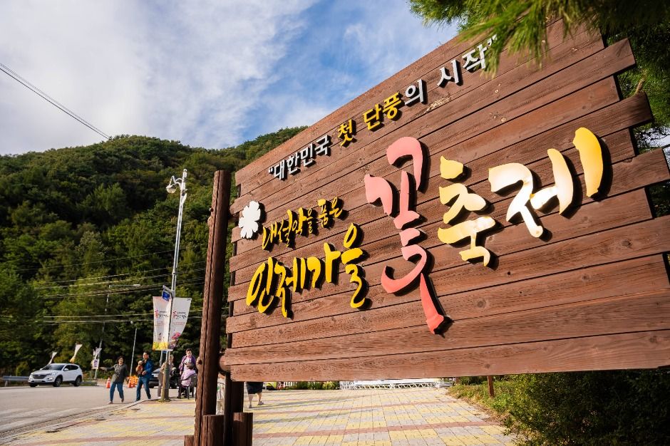 인제가을꽃축제