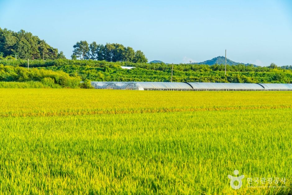 이천 부래미마을