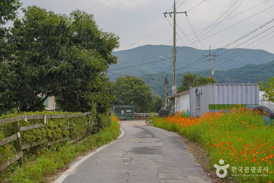 안성 구메농사마을