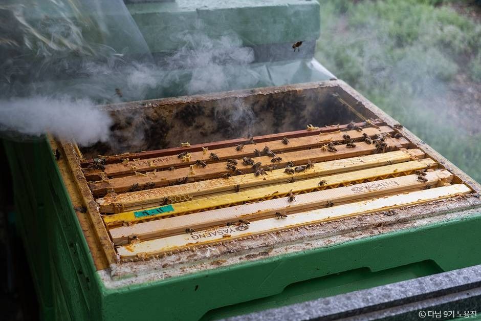 농업회사법인주식회사꿀벌인
