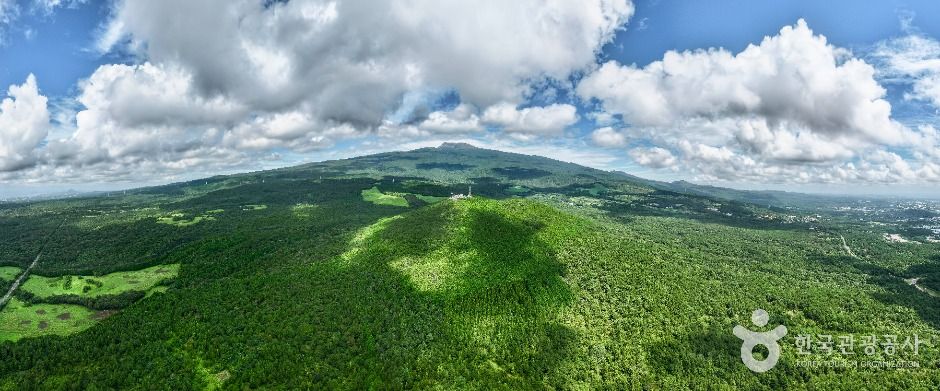 제주_제주도 관광특구 (7)