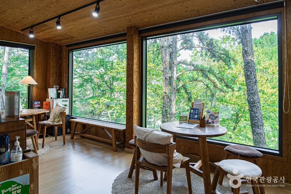 전주_학산숲속시집도서관 (2)