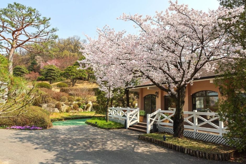 화성_라비돌컨트리클럽 (2)