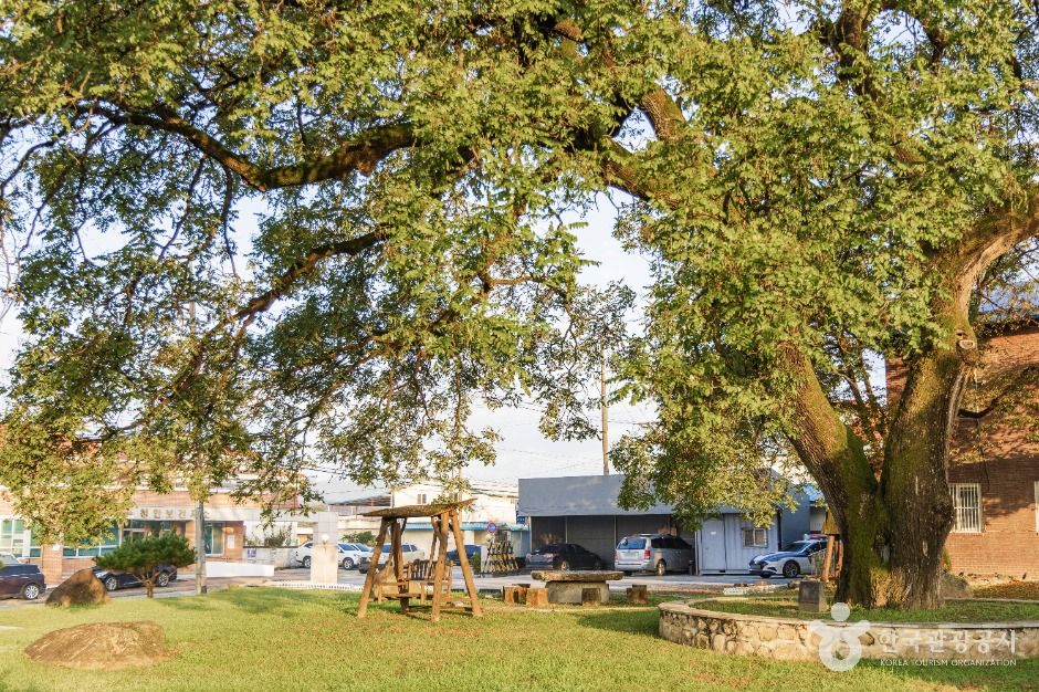 괴산 청안 안민헌