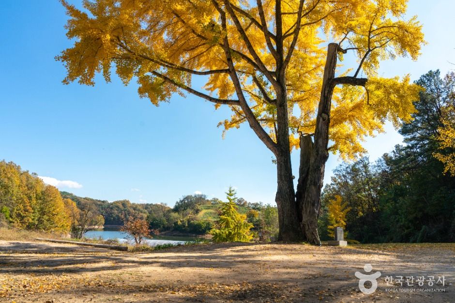 thumbnail-예안향교-3