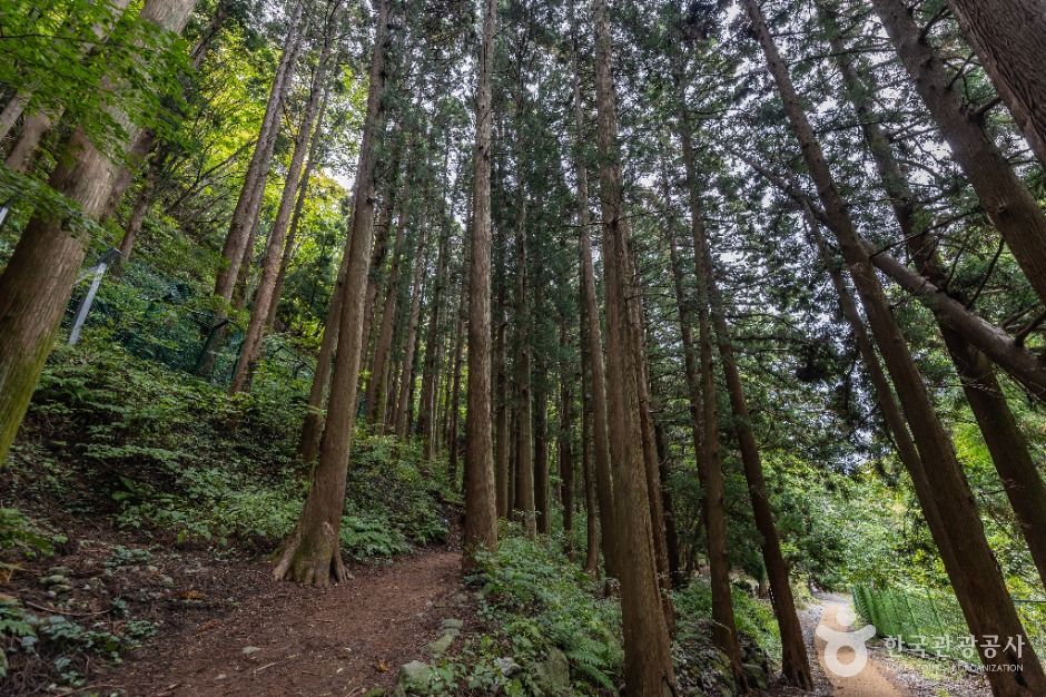 봉래폭포 (울릉도, 독도 국가지질공원)
