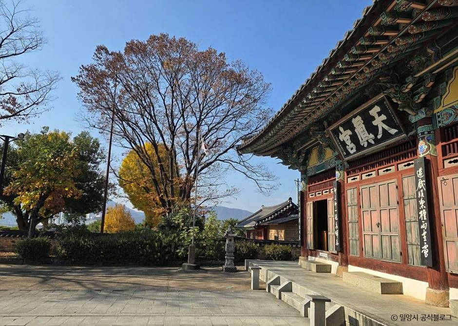 thumbnail-천진궁-3