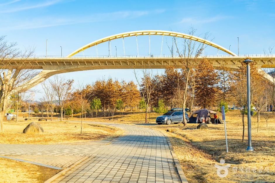 세종_합강공원 오토캠핑장 (3)