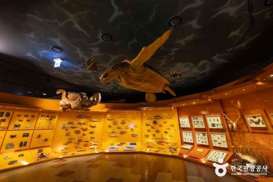 thumbnail-강화자연사박물관-3